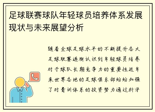 足球联赛球队年轻球员培养体系发展现状与未来展望分析